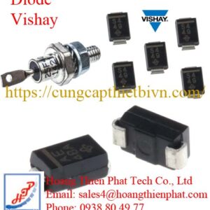 Diot Vishay tại Việt Nam