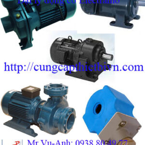 Động cơ Electramo tại Việt Nam