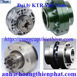 Khớp nối động cơ KTR chính hãng tại Việt Nam