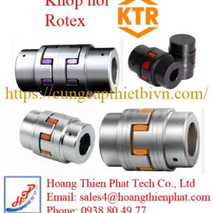 Khớp nối Rotex KTR Việt Nam
