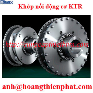 Khớp nối động cơ KTR giá tốt Việt Nam