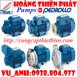 Bơm trục ngang Pedrollo pump