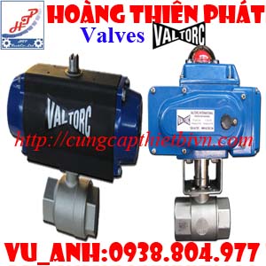 Van bướm Valtorc việt nam