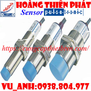 Cảm biến quay Pulsotronic
