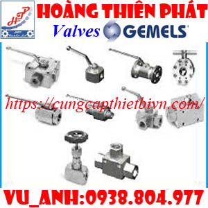 Van bi Gemels - khớp nối Gemels