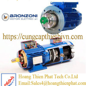Động cơ điện Bronzoni Motori