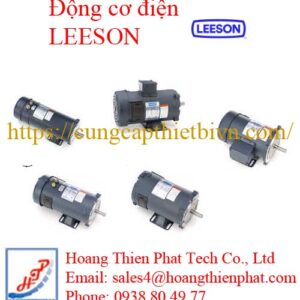 Động cơ điện LEESON