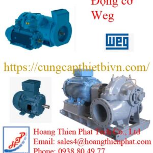 Động Cơ WEG