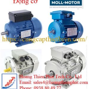 Động cơ điện MOLL-MOTOR