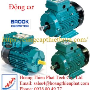 Động cơ Brook Crompton