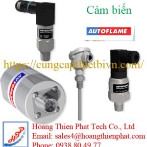 Cảm biến Autoflame