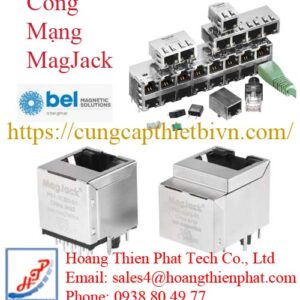 Cổng Mạng MagJack