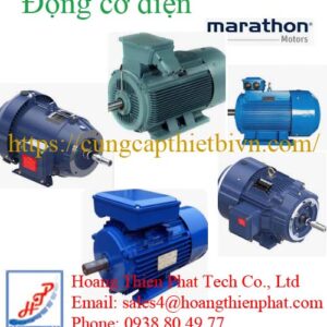 động cơ điện Marathon