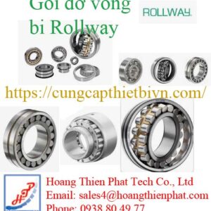 Gối đỡ vòng bi Rollway