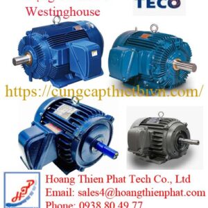Động Cơ TECO-Westinghouse