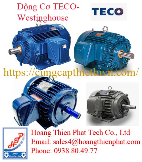 Động Cơ TECO-Westinghouse