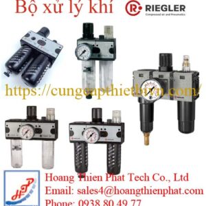 Bộ xử lý khí RIEGLER