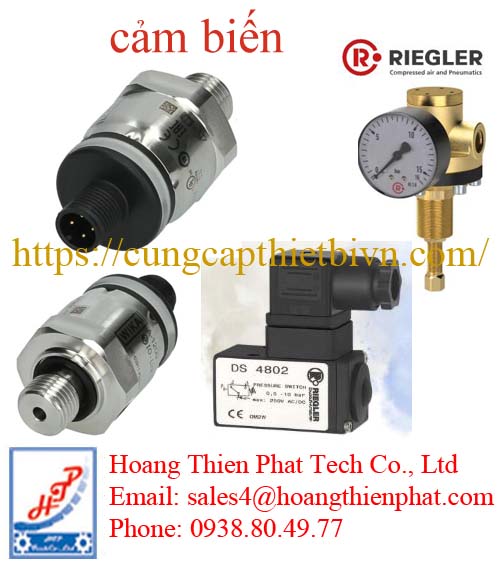Cảm biến RIEGLER