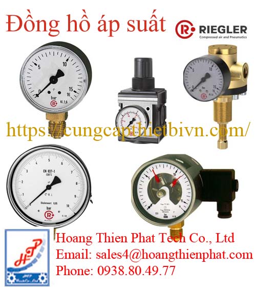 Đồng hồ áp suất RIEGLER